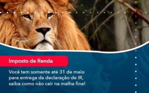 Voce Tem Somente Ate 31 De Maio Para Entrega Da Declaracao De Ir Saiba Como Nao Cair Na Malha Fina (1) - Assessoria Contábil em São Paulo