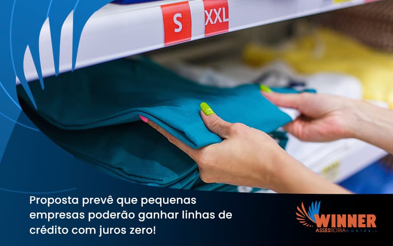 Proposta Prevê Que Pequenas Empresas Poderão Ganhar Linhas De Crédito Com Juros Zero! Winner - Assessoria Contábil em São Paulo